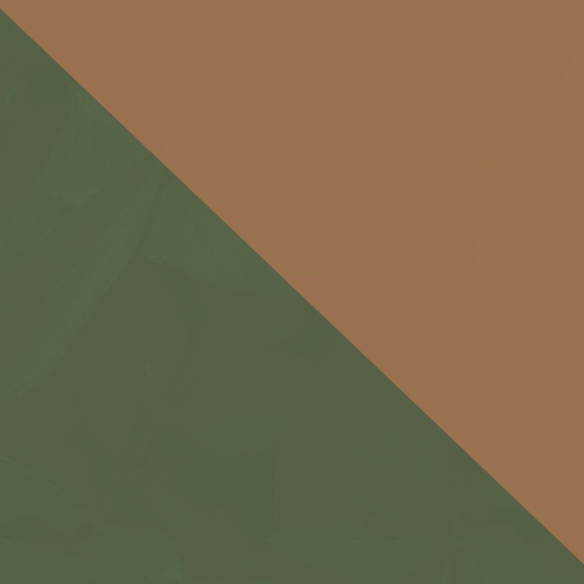 Verde+Marrom